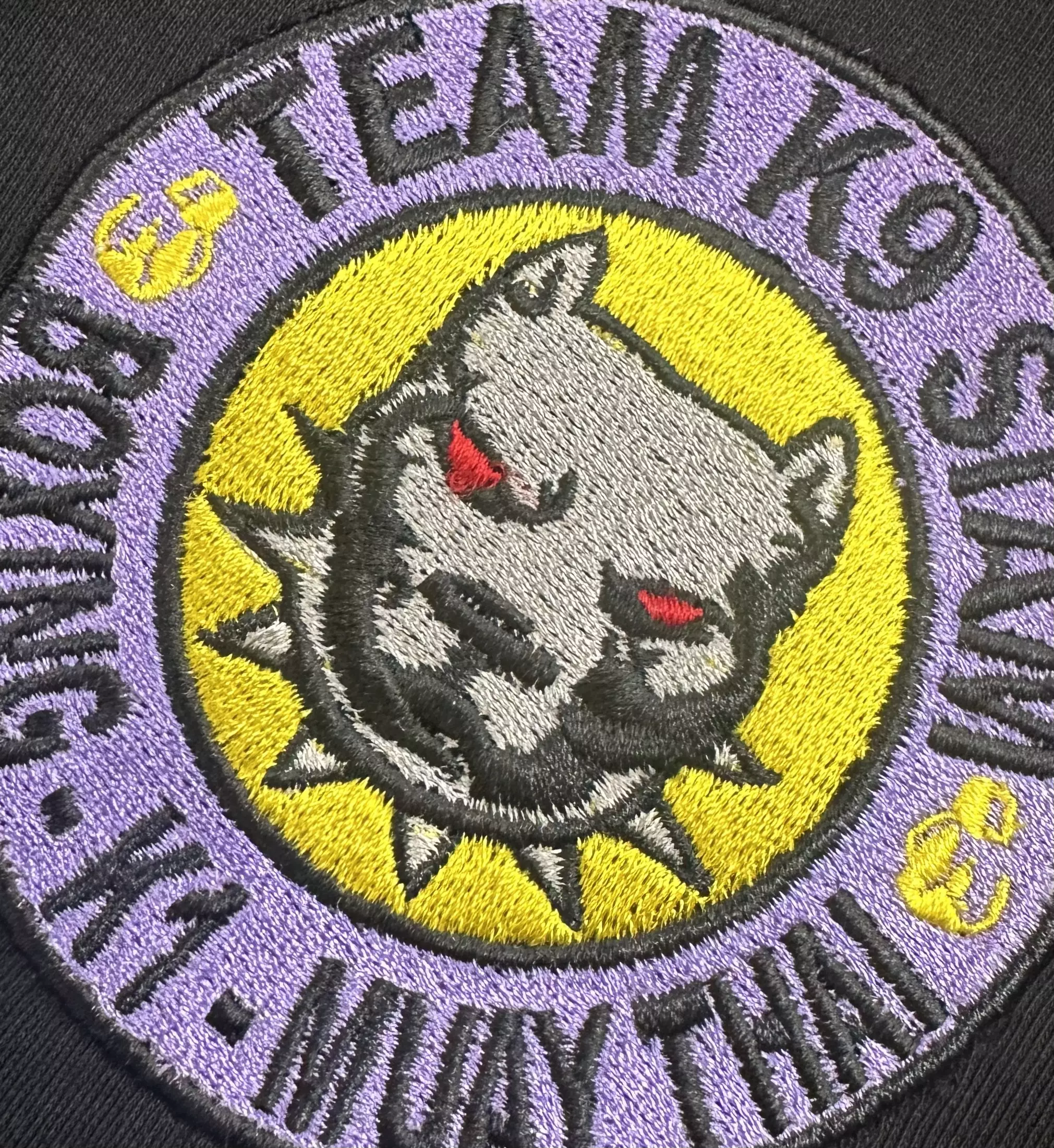 Team K9 Muay Thai