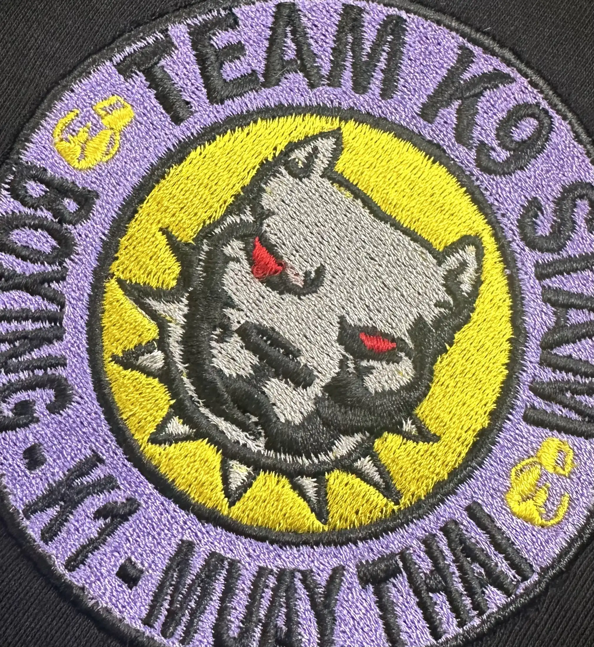 Team K9 Muay Thai
